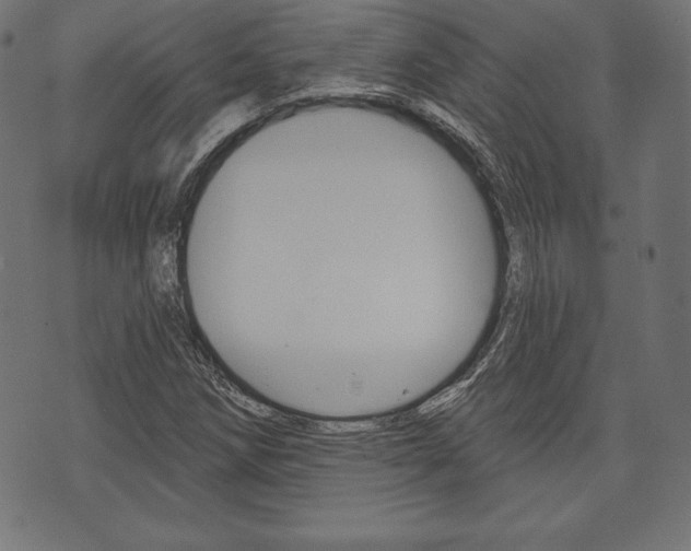 X0000073971258200608210935
