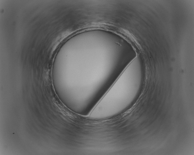 X0000073971260200608210935