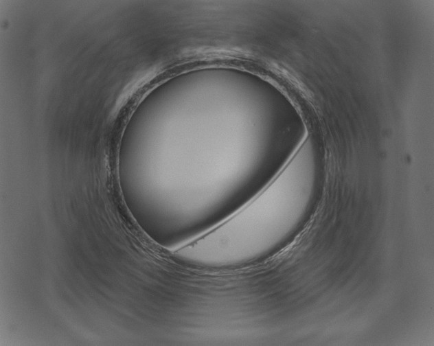 X0000073971261200608210935