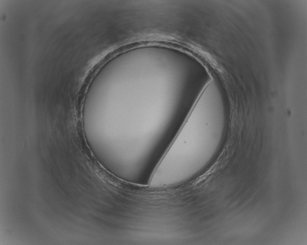 X0000073971264200608210934