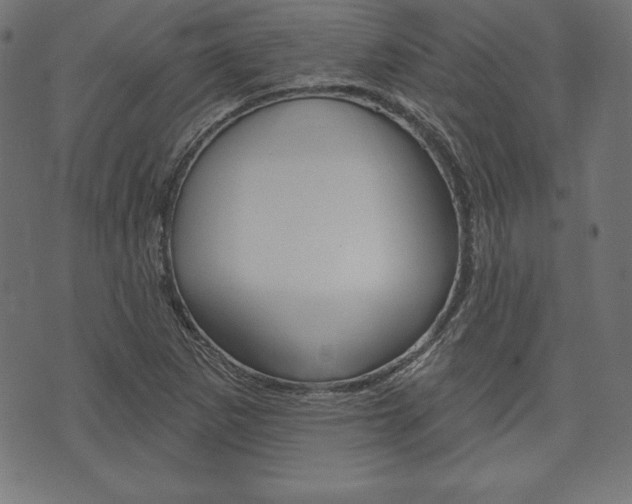 X0000073971265200608210934