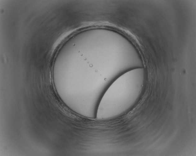 X0000073971271200608210934