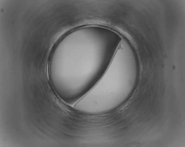 X0000073971272200608210934