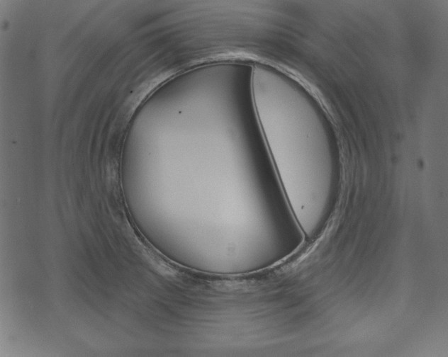 X0000073971281200608210934