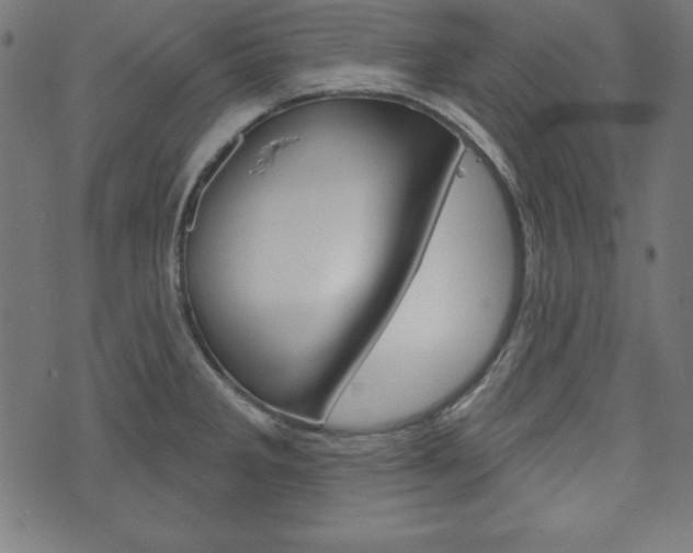 X0000073971285200608210934