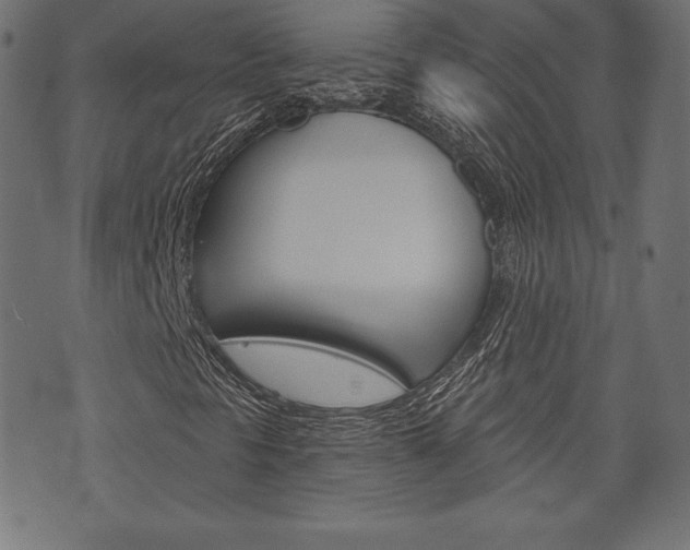 X0000073971297200608210933