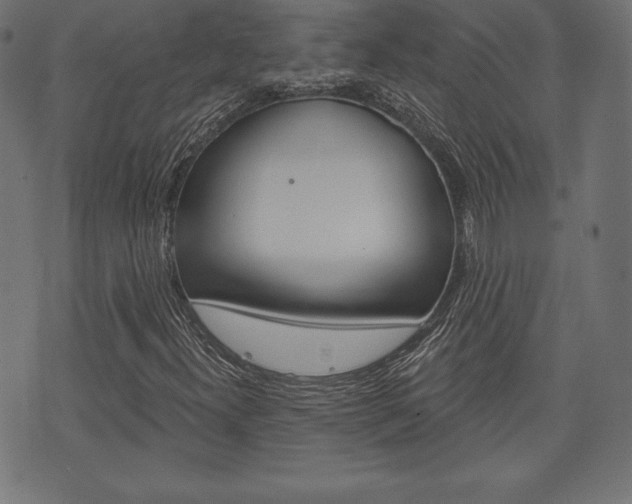 X0000073971300200608210933