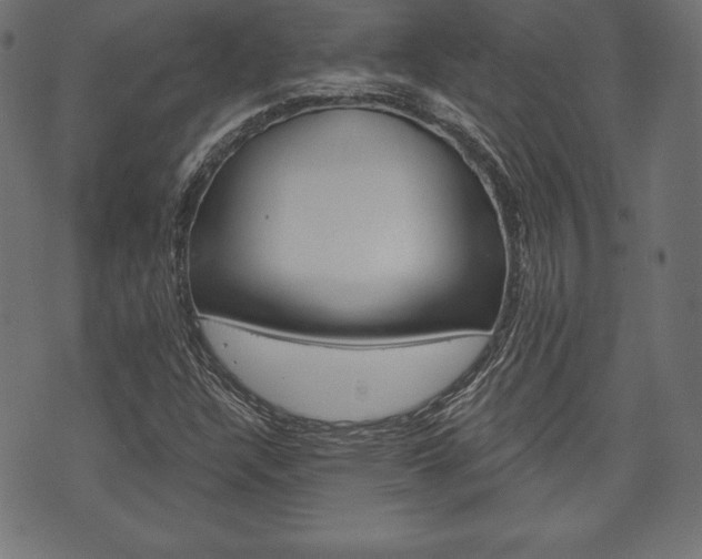 X0000073971304200608210933