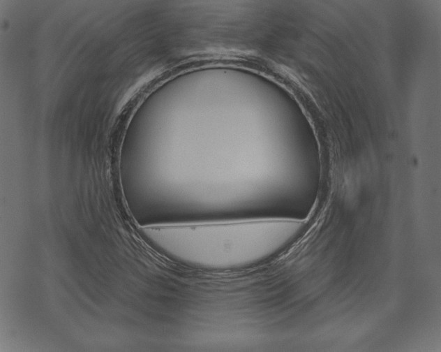 X0000073971307200608210933