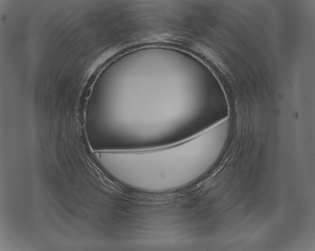 X0000073971308200608210933
