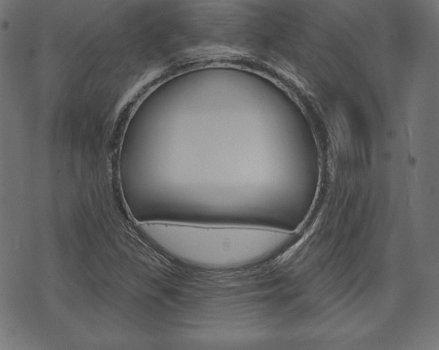 X0000073971309200608210933