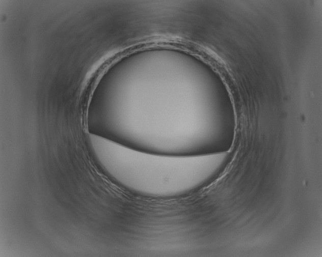 X0000073971310200608210933