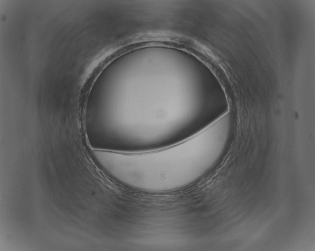 X0000073971312200608210933