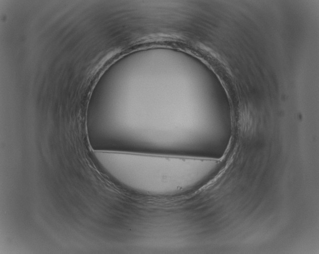 X0000073971313200608210933