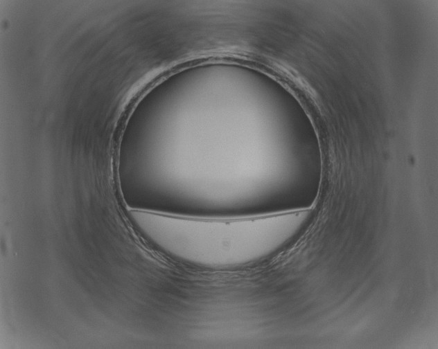 X0000073971316200608210934