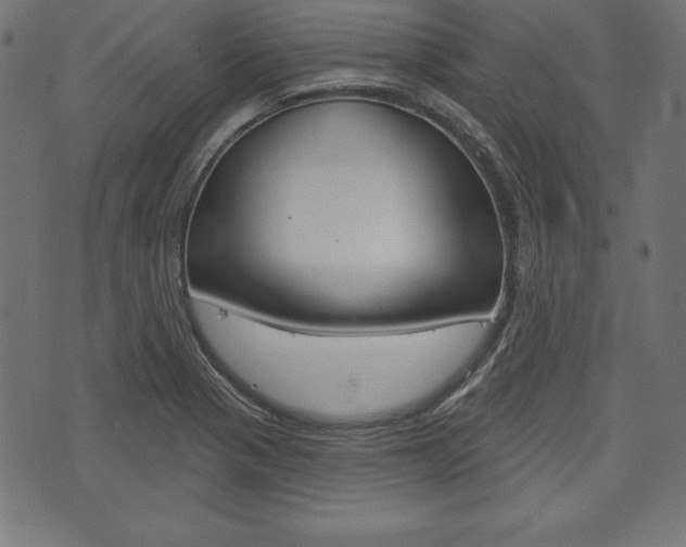 X0000073971321200608210934