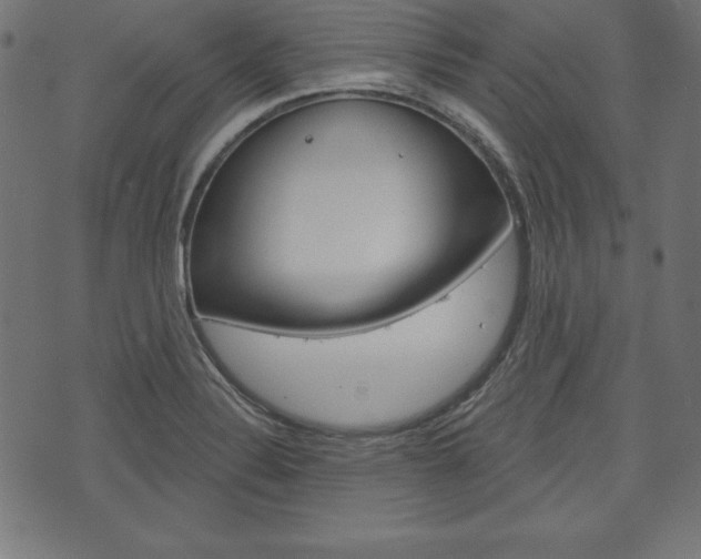 X0000073971324200608210934