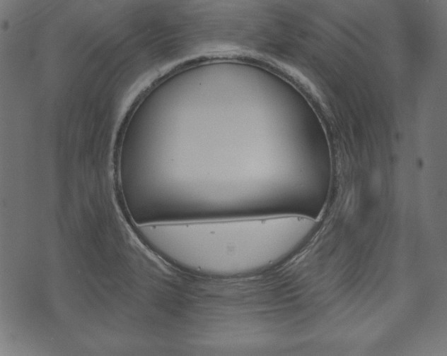 X0000073971327200608210934