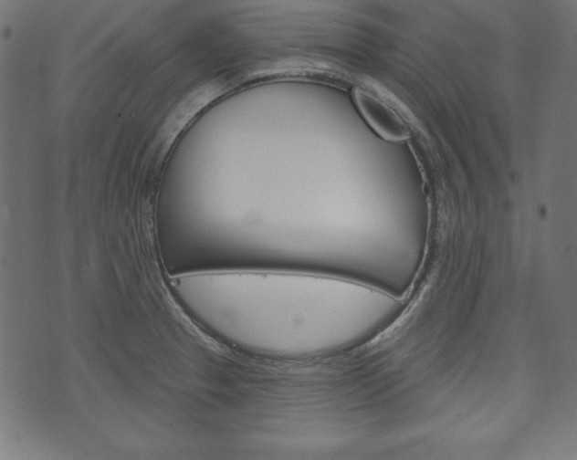 X0000073971329200608210934