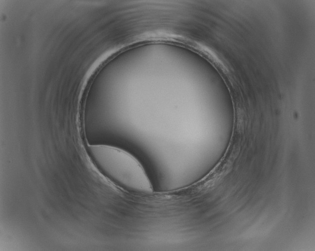 X0000073971331200608210934