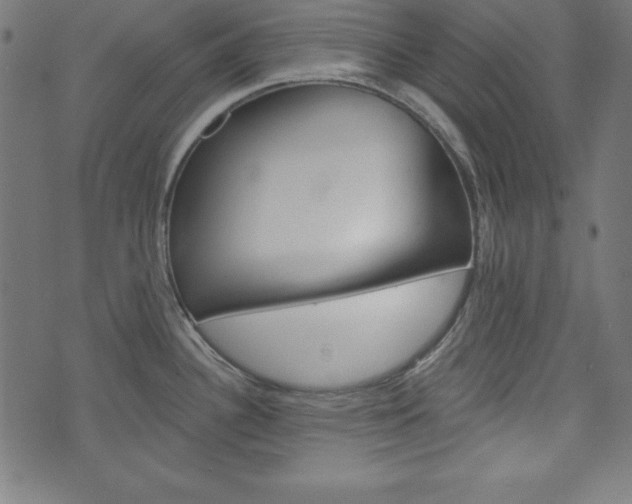 X0000073971340200608210934