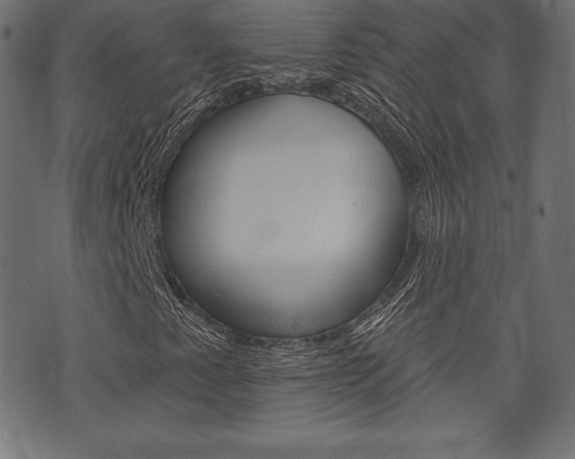 X0000073971345200608210933