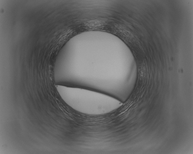 X0000073971346200608210933