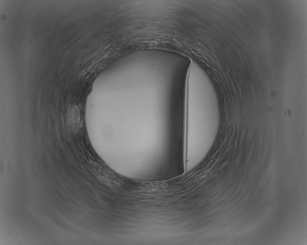 X0000073971347200608210933