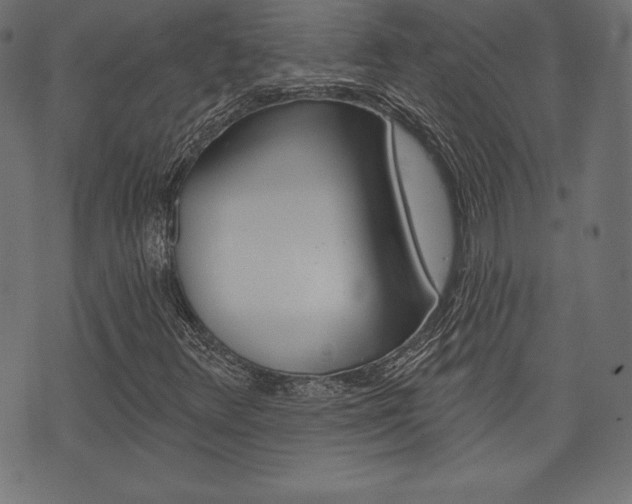 X0000073971348200608210933