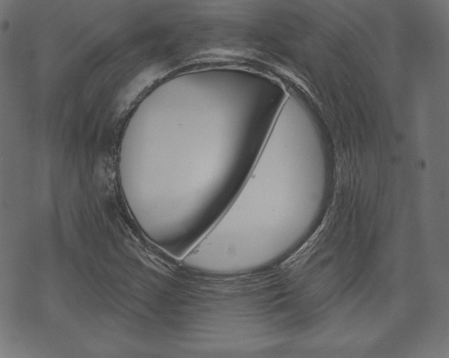 X0000073971355200608210933
