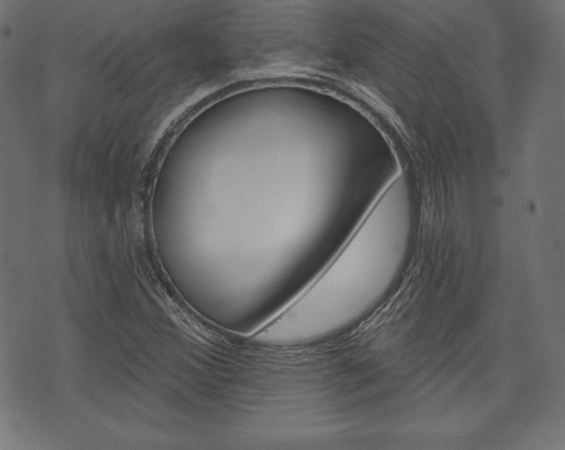 X0000073971356200608210933