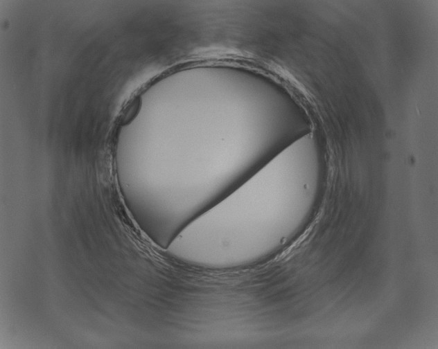 X0000073971358200608210933