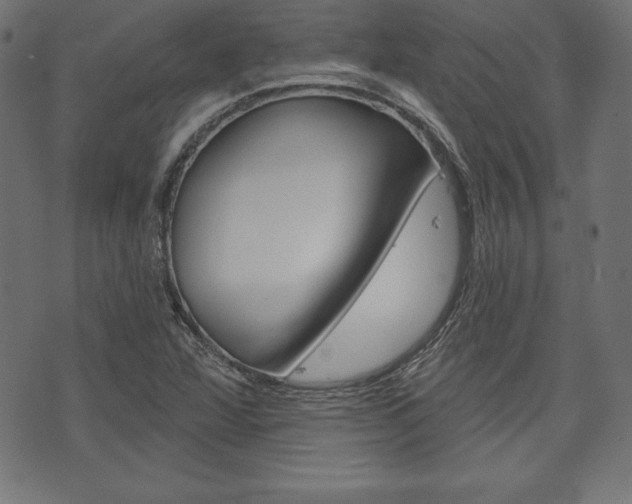 X0000073971360200608210933