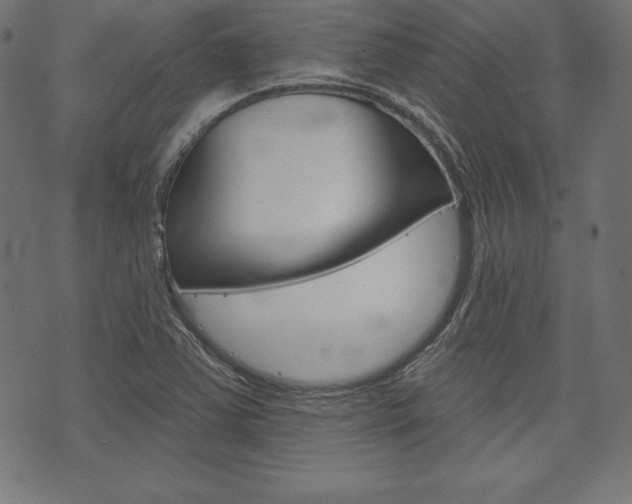 X0000073971363200608210933