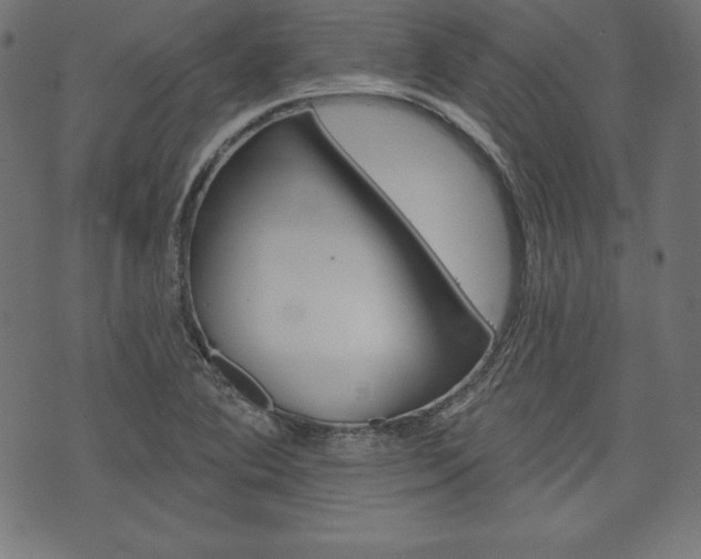 X0000073971364200608210933
