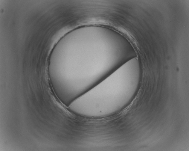 X0000073971374200608210933