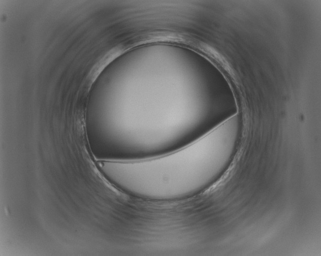 X0000073971377200608210933