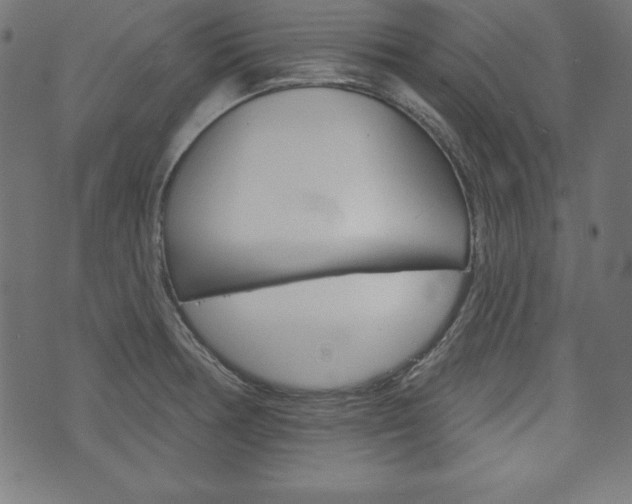 X0000073971378200608210933