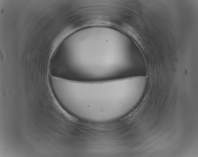 X0000073971379200608210933