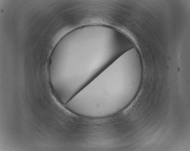 X0000073971382200608210933