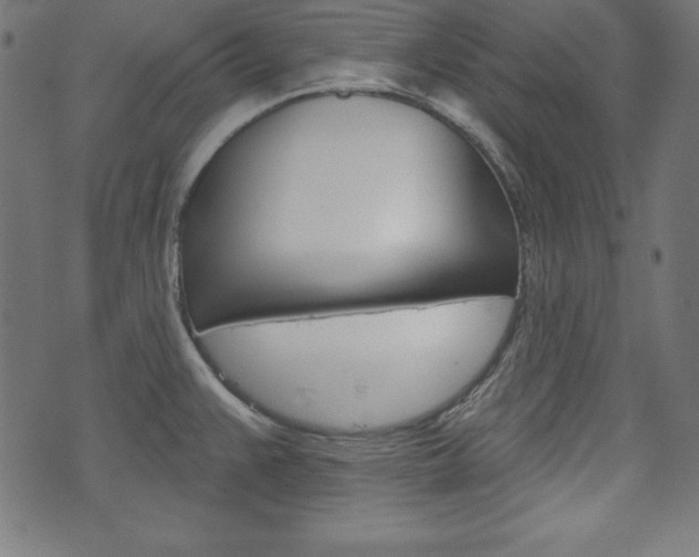 X0000073971383200608210933