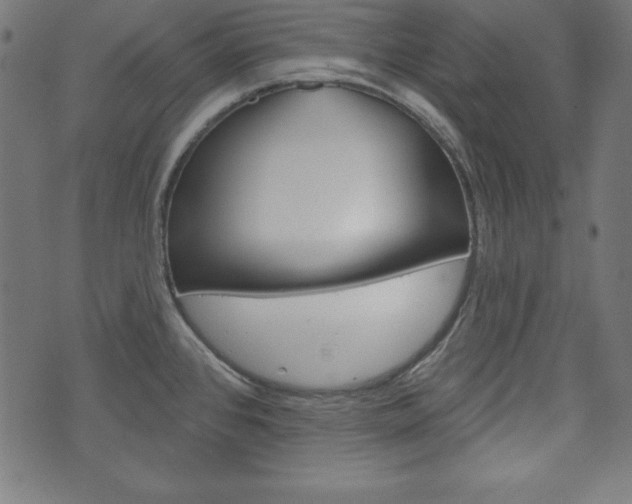 X0000073971384200608210933