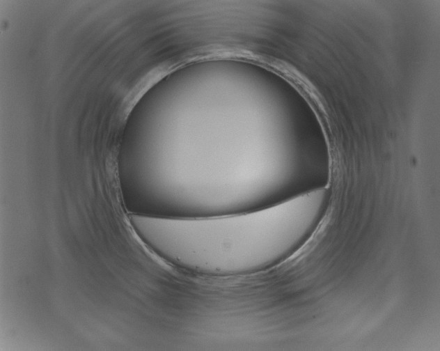 X0000073971385200608210933