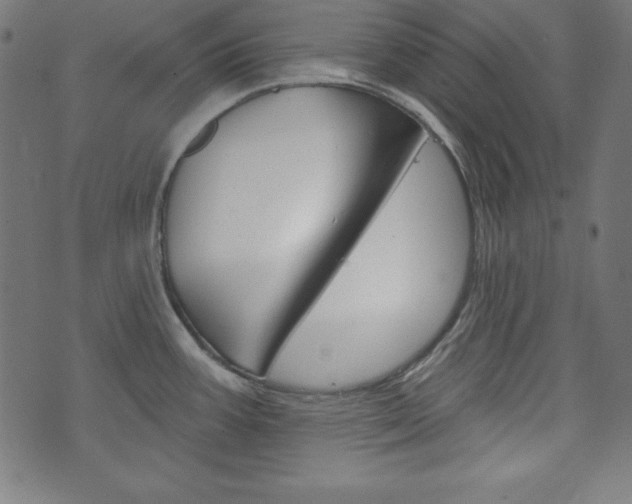 X0000073971387200608210933