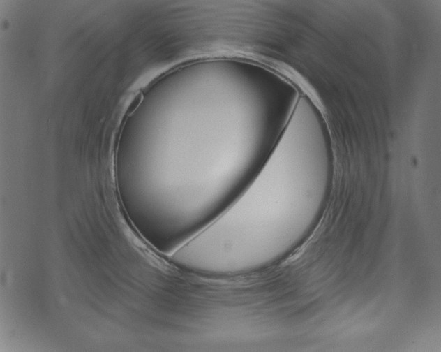 X0000073971388200608210932