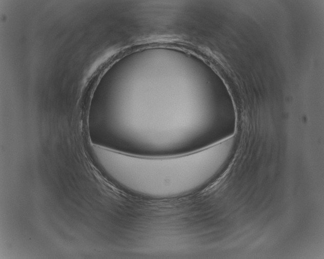 X0000073971406200608210932