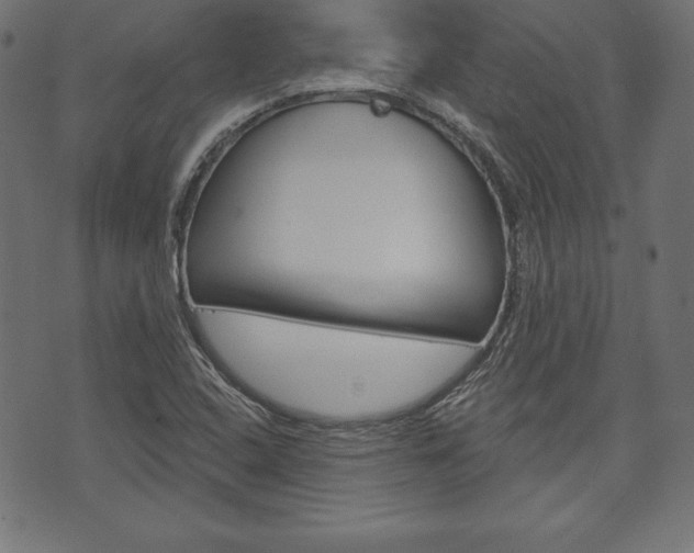 X0000073971408200608210932