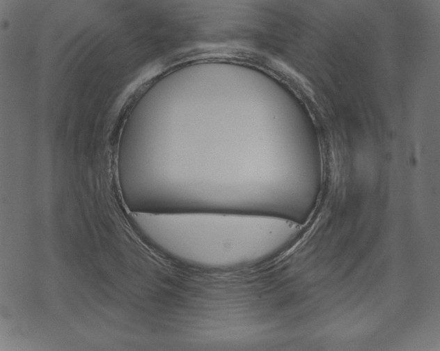 X0000073971411200608210932