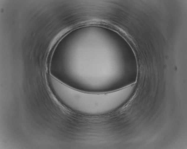X0000073971418200608210932