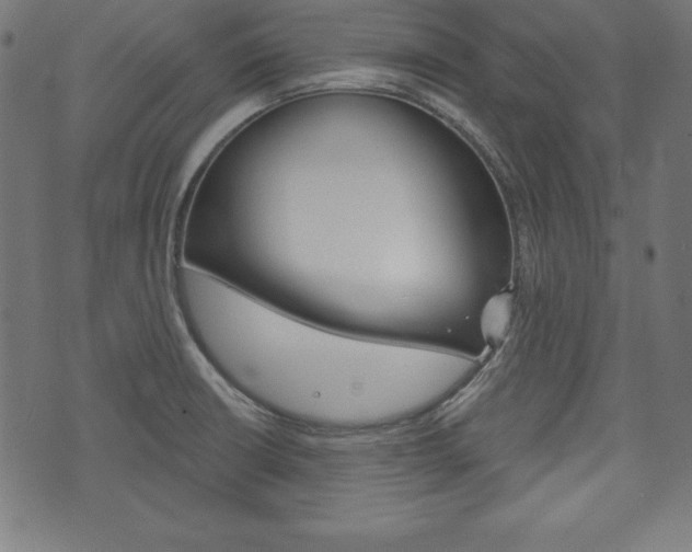 X0000073971426200608210932